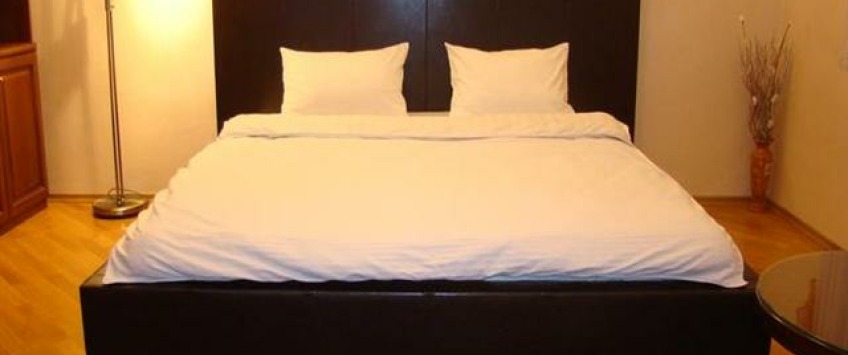 Apartment Pushkinska Kiev - Apt 22039