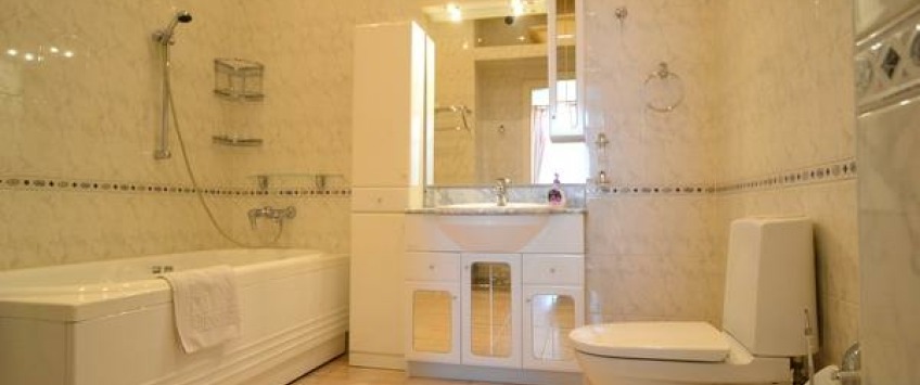 Apartment Pushkinska Kiev - Apt 25641