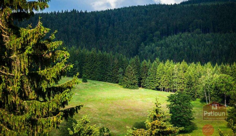 Pytloun Wellness Hotel Harrachov****