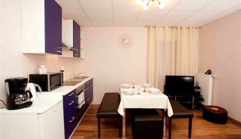 Apartment Radingerstraße Wien - Apt 35976