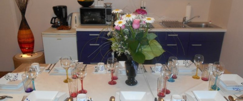 Apartment Radingerstraße Wien - Apt 35976