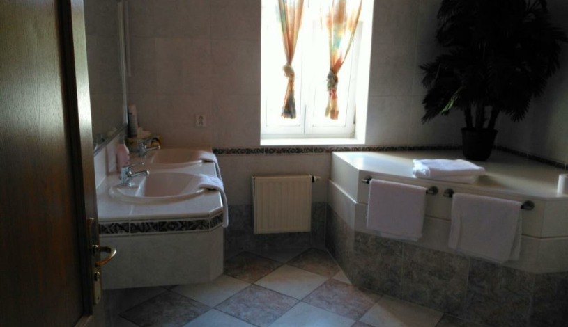 Wellness pension Rainbow ® Karlovy Vary - Apartmán Nature s bufetovou snídaní, parkoviště, Wifi