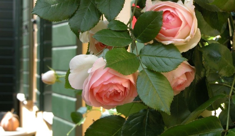 Apartment Ramo II Piave Venezia - Apt 20206