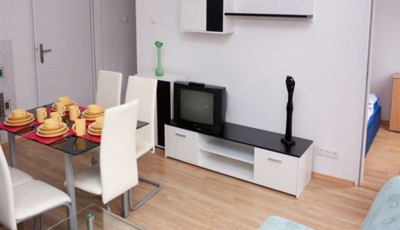 Apartment Randhartingergasse Wien - Apt 21359