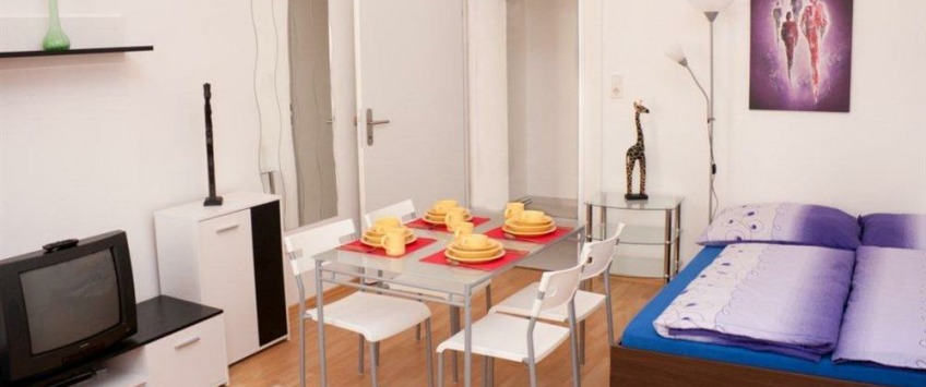 Apartment Randhartingergasse Wien - Apt 21360