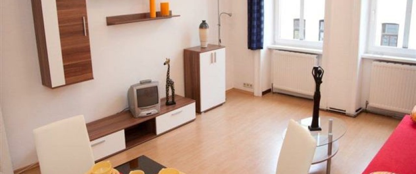 Apartment Randhartingergasse Wien - Apt 21362