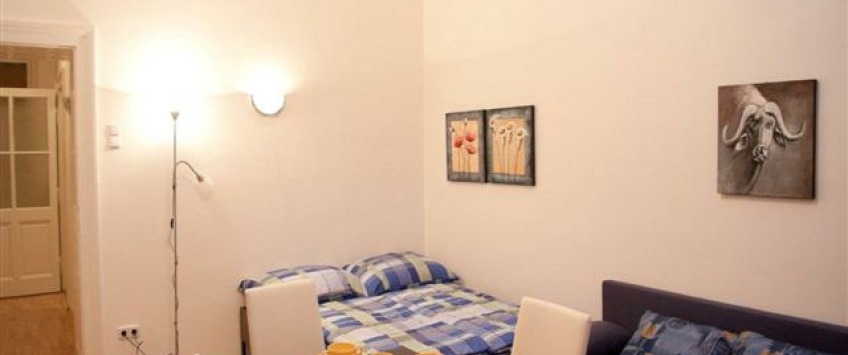 Apartment Randhartingergasse Wien - Apt 21364