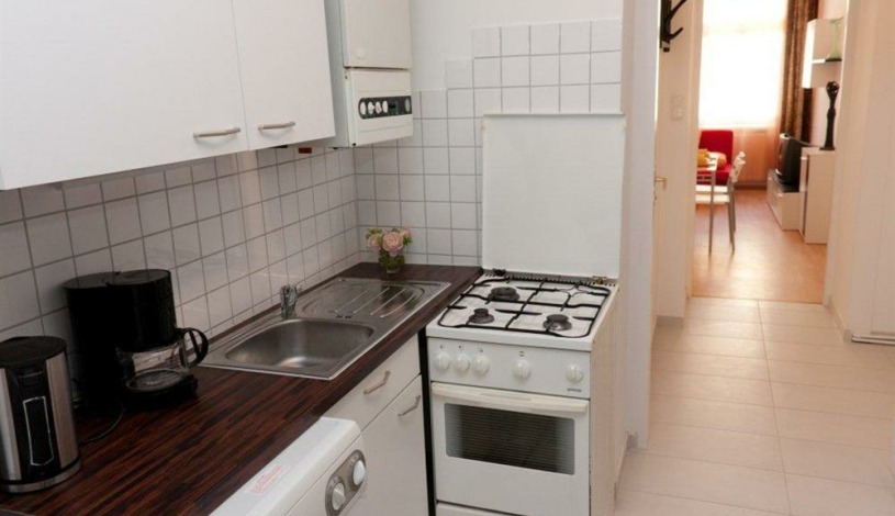 Apartment Randhartingergasse Wien - Apt 21360