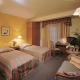 Zweibettzimmer Business - Hotel Regina Praha
