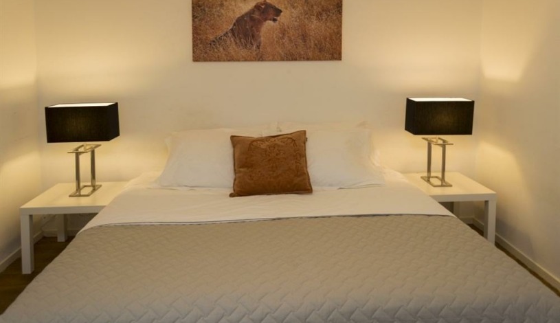 Apartment Reguliersdwarsstraat Amsterdam - Apt 32684