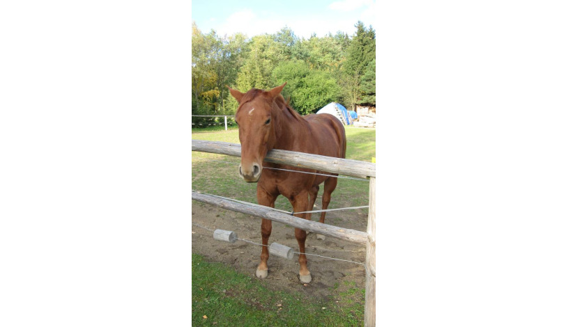 Rekreační zařízení Vyhlídka Blansko