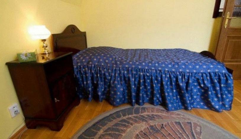 Villa Renan Karlovy Vary - VILLA RENAN - 1 lůžkový pokoj