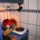 Apt 20269 - Apartment Resavska Beograd