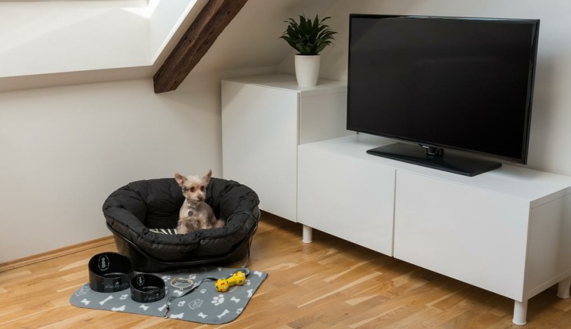Residence Vocelova  Praha