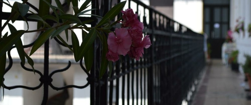 Apartment Révay utca Budapest - Apt 1657