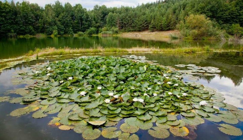 Rezidence u Jezera Jeseník