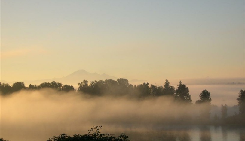 Apartment River Road Vancouver - Apt 19197