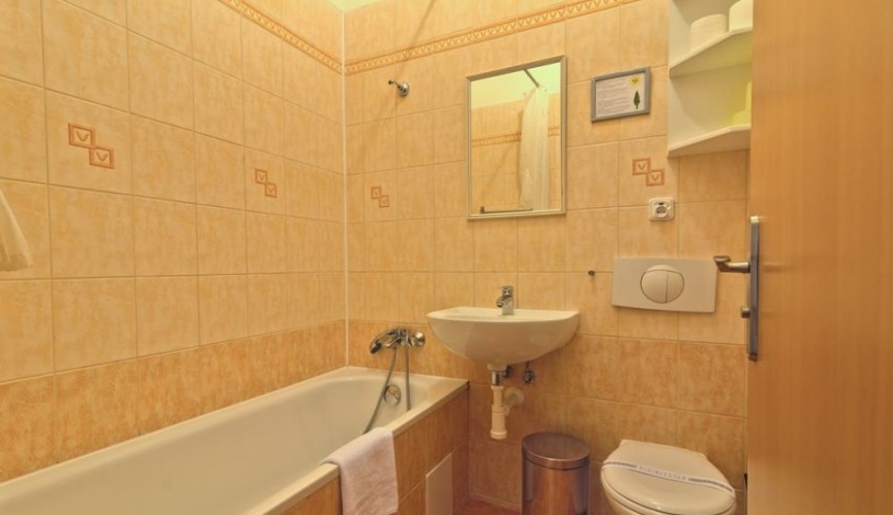 Hotel Romania Karlovy Vary - Dvoulůžkový pokoj Standard s výhledem do dvora