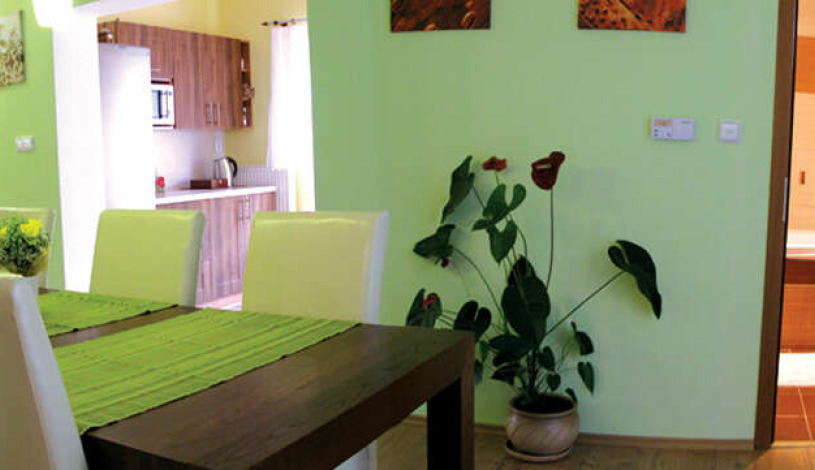 Apartmány u Červeného stromu Rožnov pod Radhoštěm