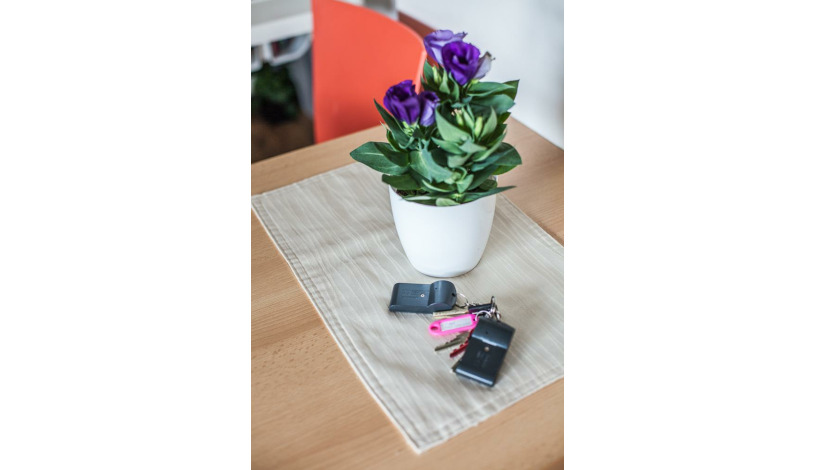 Apartmány u Červeného stromu Rožnov pod Radhoštěm