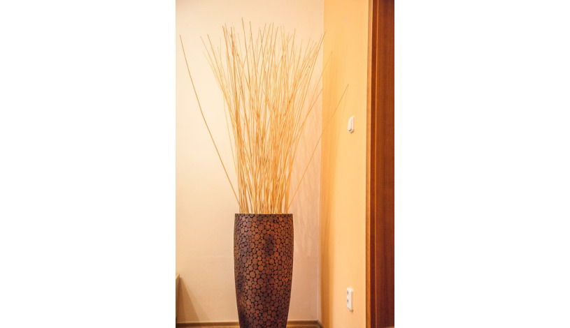 Apartmány u Červeného stromu Rožnov pod Radhoštěm