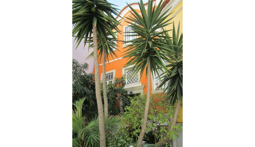 Apartment Rua Baldaques Lisboa - Apt 27294