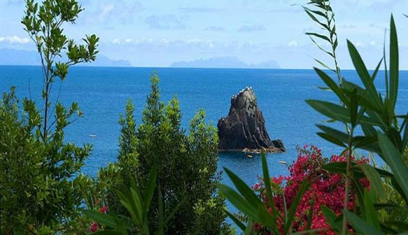 Apartment Rua da Ponta da Cruz Funchal - Apt 27325