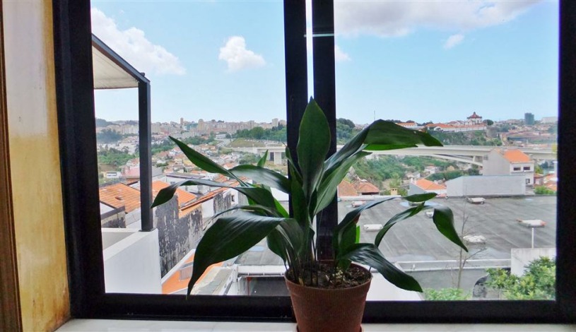 Apartment Rua de São Victor Porto - Apt 25233