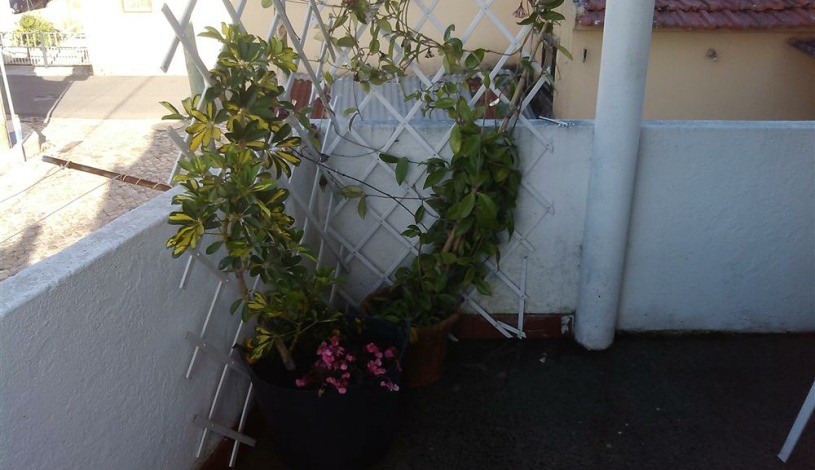 Apartment Rua do Forno Sintra - Apt 41447