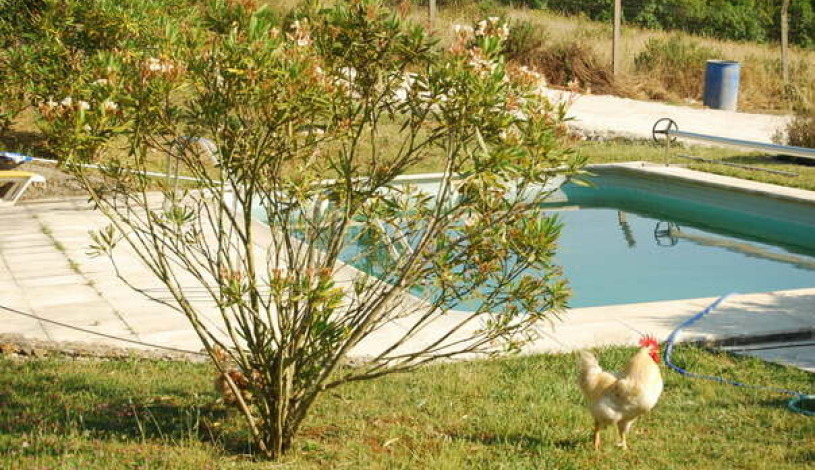 Apartment Rua 25 de Abril Sintra - Apt 41458