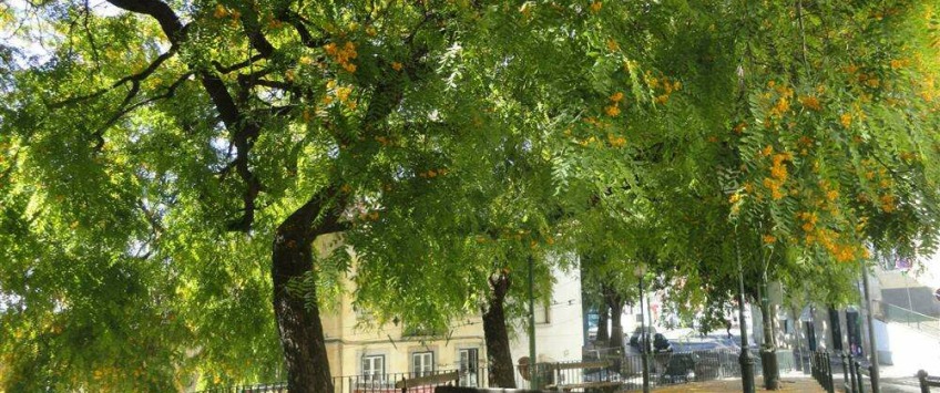 Apartment Rua do Salvador Lisboa - Apt 24248