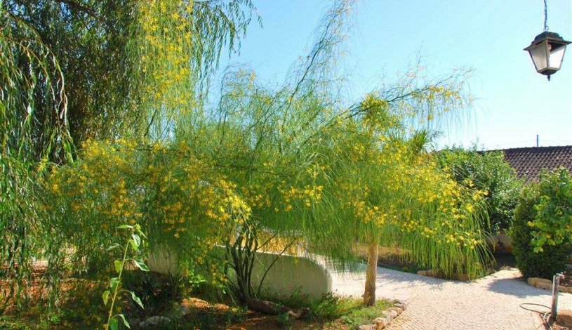 Apartment Rua do Sol Lisboa - Apt 33469