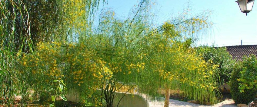 Apartment Rua do Sol Lisboa - Apt 33469