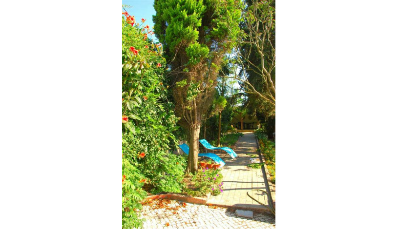 Apartment Rua do Sol Lisboa - Apt 33469