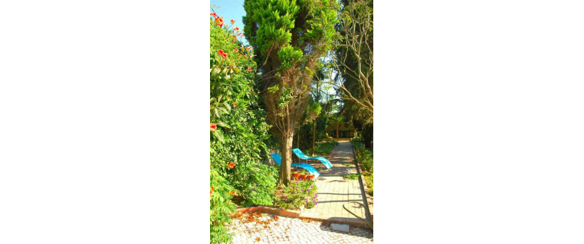 Apartment Rua do Sol Lisboa - Apt 33469