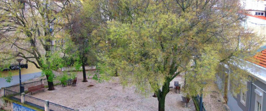 Apartment Rua dos Prazeres Lisboa - Apt 21637