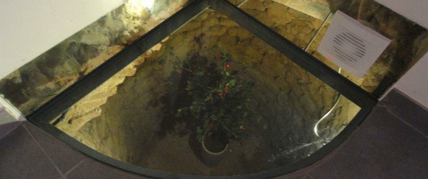 Apartment Rua Parreiras Lisboa - Apt 35479