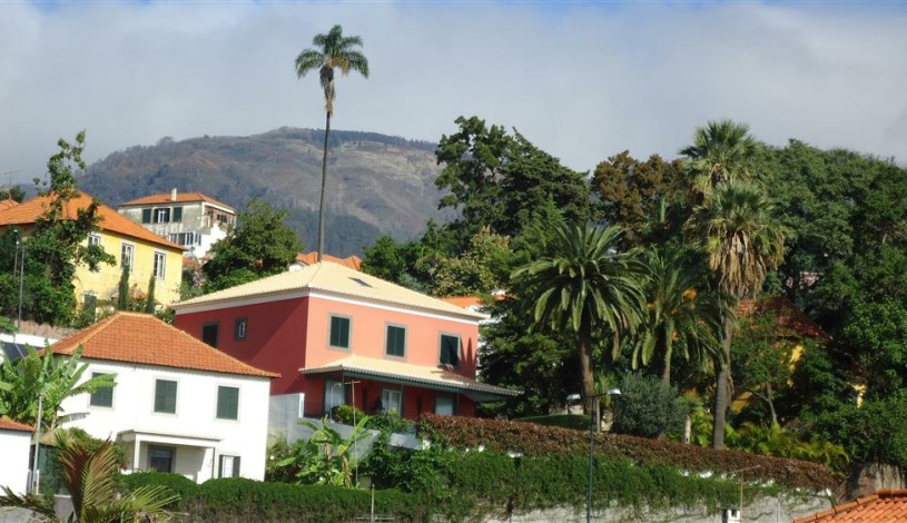 Apartment Rua Pimenta de Aguiar Funchal - Apt 27067