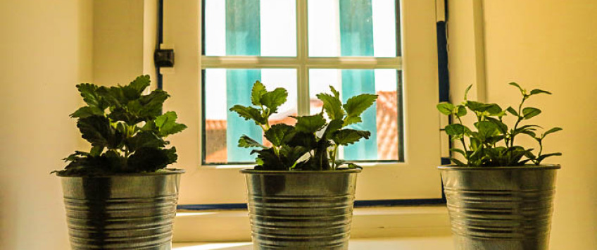 Apartment Rua Santa Marinha Lisboa - Apt 20739