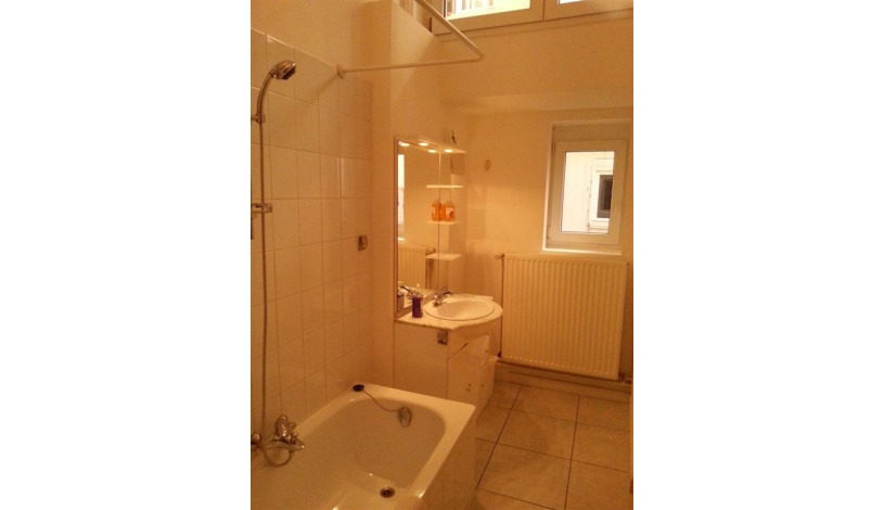 Apartment Rue Antoine Dansaert Brussel - Antoine 4