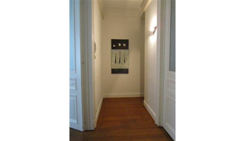 Apartment Rue Antoine Dansaert Brussel - Antoine 2