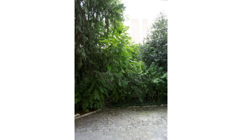 Apartment Rue Cler Paris - Apt 36600