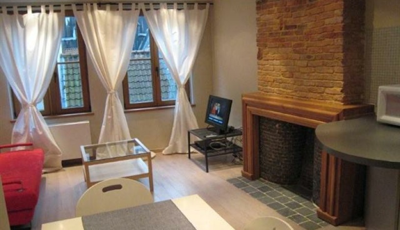 Apartment Rue de Bon Secours Brussel - Manneken 2