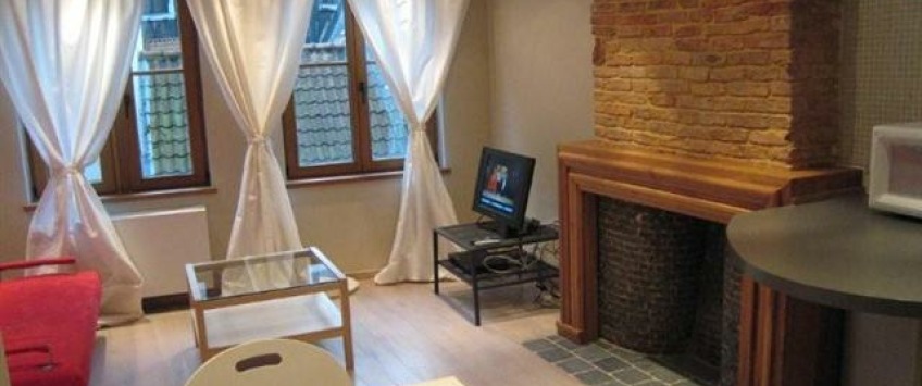 Apartment Rue de Bon Secours Brussel - Manneken 2