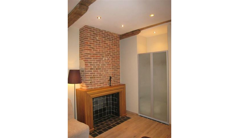 Apartment Rue de Bon Secours Brussel - Manneken 1