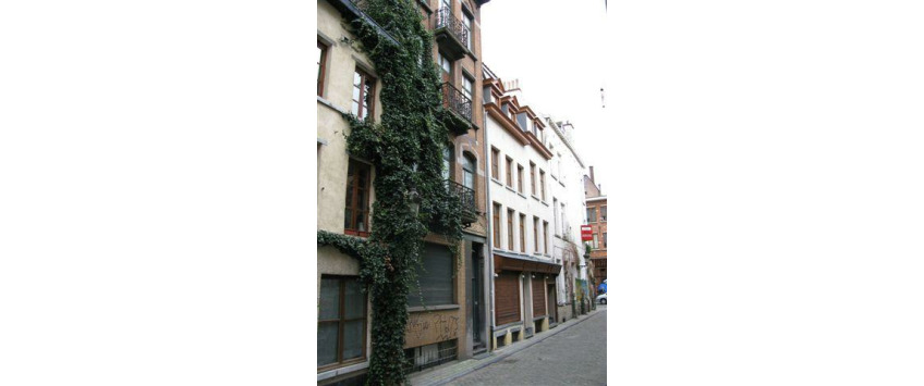 Apartment Rue de Bon Secours Brussel - Manneken 3
