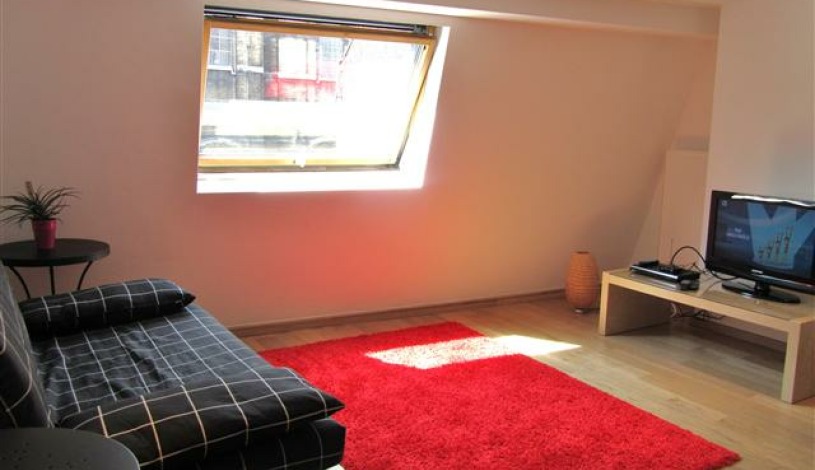 Apartment Rue de Bon Secours Brussel - Manneken 4