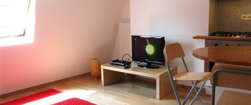 Apartment Rue de Bon Secours Brussel - Manneken 4