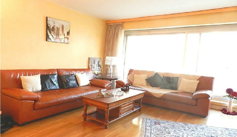 Apartment Rue de Chaillot Paris - Apt 37253