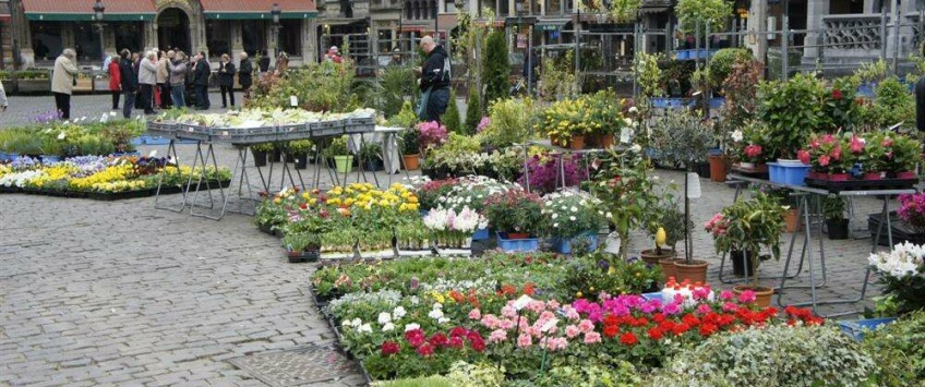 Apartment Rue de la Colline Brussel - Hills